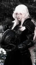 【 Dusk Knight 】