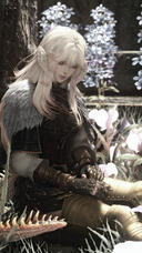【 The Calm Before 】
